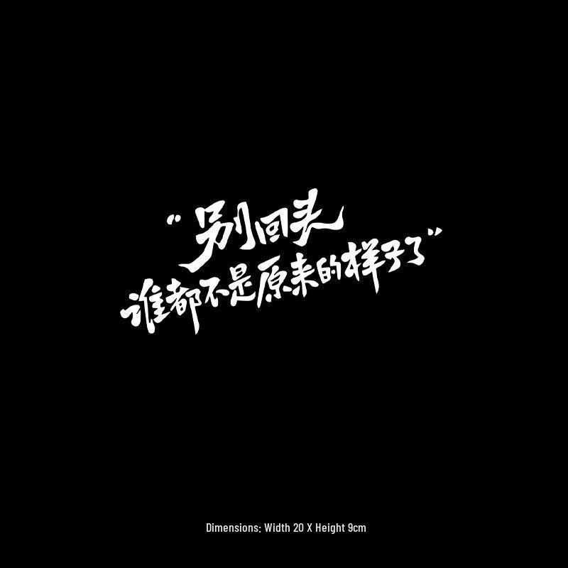 Rear Windshield Sticker: 'Don't Look Back, No One's the Same'