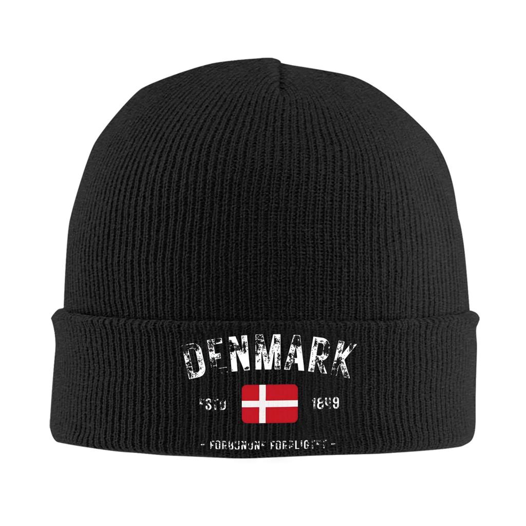 Denmark Estd 1849 Knitting Hat Beanie Hats Outdoor Sport Thermal Elastic Adult Unisex Bonnet Hats Winter Funny Caps Gift Idea