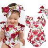 Fashion Sweet Newborn Baby Girl Romper Bodysuit Jumpsuit Clothes Outfits 2PCS Set 0-24M