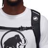 Mammut Lithium 15 2530-00301 Platinum-Black