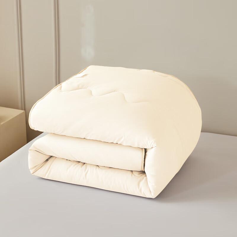 Royal Bedding Super Soft Washable Fiber Quilt