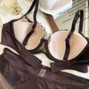 Sexy Lace Women Lingerie French Flowers Embroidery Bra Set Breathable Mesh Splicing Push Up Bras Hollow Thin Cup Underwear Sets