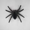 Realistic Flocking Black Spider Funny Artificial Spider Halloween Plush Spider Pendants  Party Prop
