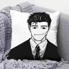 Hiromi Higuruma meme   Pillow Covers, Home Sofa Cushion Covers and Aecorative Custom