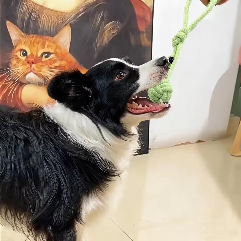 Langlebiges Hundekauspielzeug Seil Knotenball Für Kleine Welpen Bissfest Zähne Reinigen Selbstspiel Langeweile Linderung Haustierbedarf