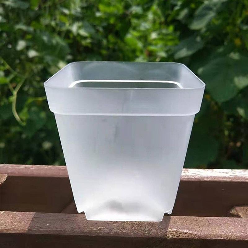 

12 упаковок маленьких квадратных горшков, разноцветных, опциональных, маленьких горшков, суккулентных, квадратных, с поддоном, пластиковых горшков для рассады прозрачный