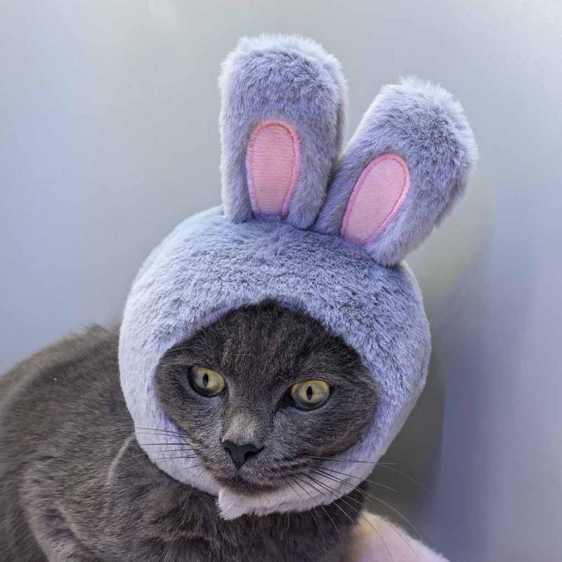 Pet Rabbit Ear Plush Hat Easter-Themed Bunny Ear Headband Funny Headdress for Cats Dogs Pets Photography Supplies Accessories