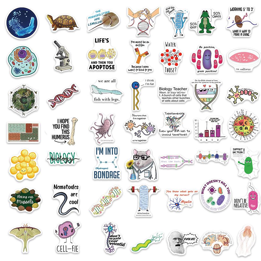 10 30 50 100 Stück Wissenschaftslabor Biologie Aufkleber Lustige Ästhetische Decals Laptop Skateboard Motorrad Handy Auto Wasserdichter Aufkleber