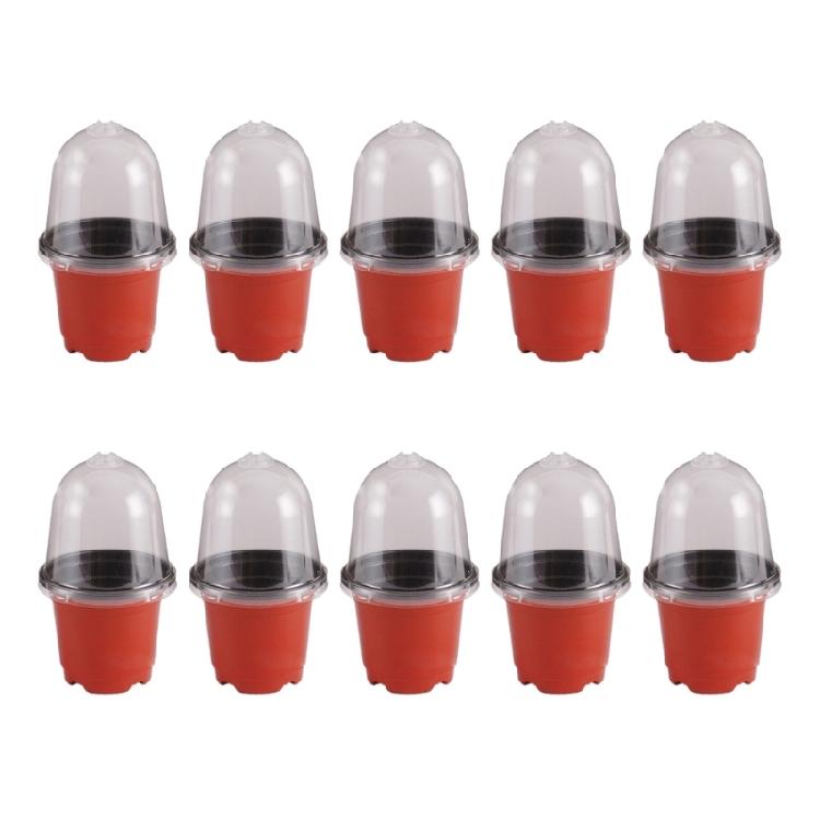 5/10/15/20Pcs Plant Nursery Pots  Starting Pots Container for Succulents