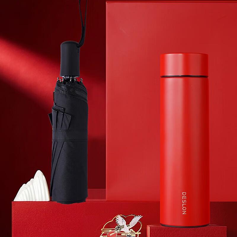 DESLON Koi Insulated Mug & Umbrella Set