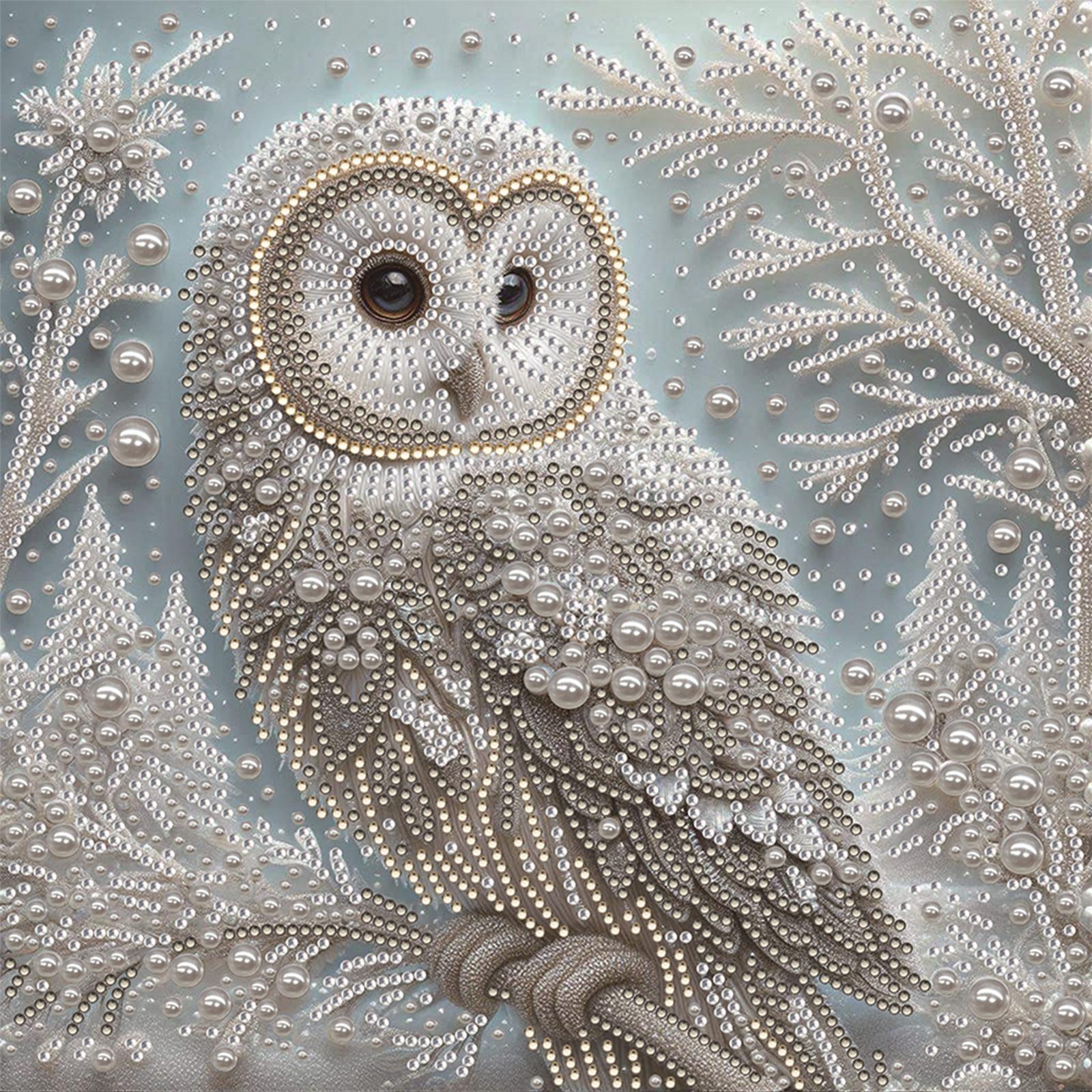 

Owl Special Shaped 5D DIY Partial Drill Diamond Painting Kits for Adults DIY Gift Home Decor Diamonds Dots Gem Art Kits 30x30cm