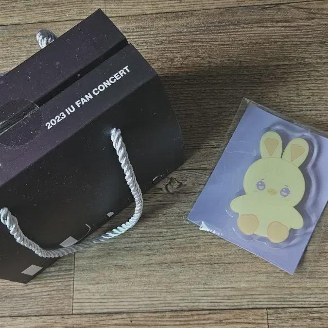 

Iu 2023 Fanconcert Yeokjogong