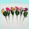 Artificial Phalaenopsis Realistic Flower Plant For Photography And Home Decor