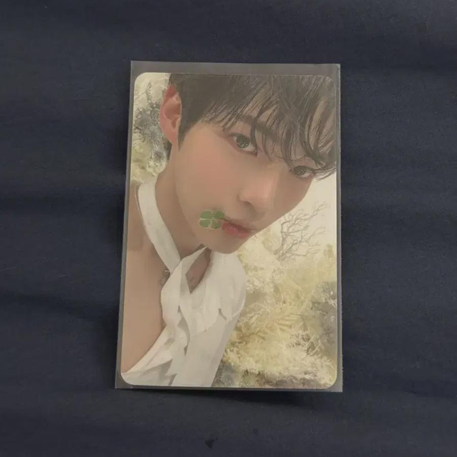 Zerobaseone Sunghan-bin Bloo Paradise Photocard Sell