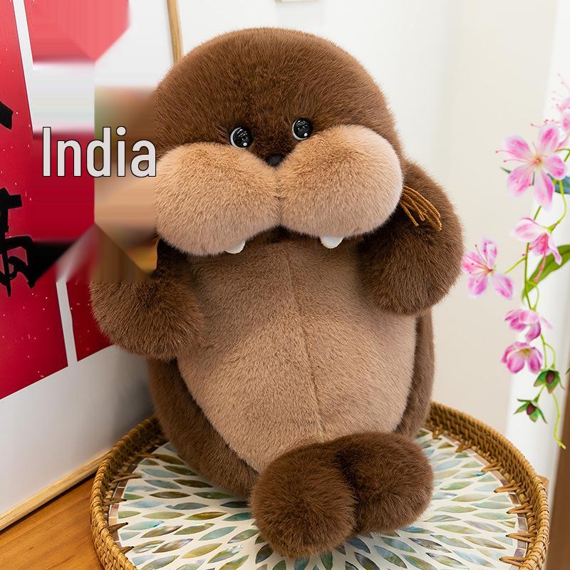 Dundun Ocean Seal Plush Toy - Cute Sleep Companion & Children's Birthday Gift