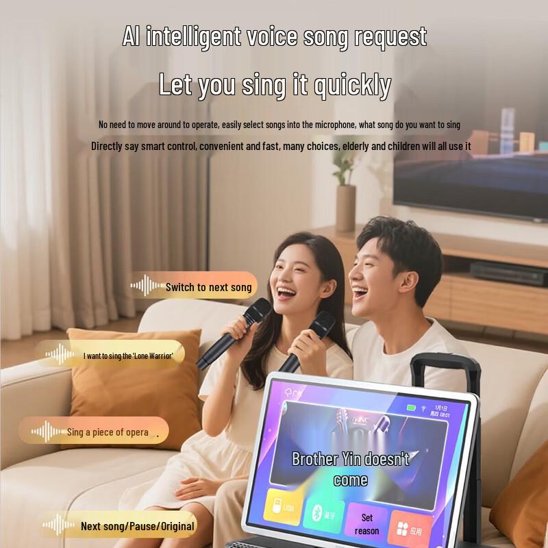 Philips SD290 KTV Home & Outdoor Speaker (CN Version)