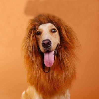 Haustier-Perücke, Hund, Löwenmähne, Perücke, Mütze, Hut für Katzen, Hunde, Halloween, Weihnachten, Kostüm, Dekoration, große Hunde, Kleidung, Cosplay, Haustierzubehör