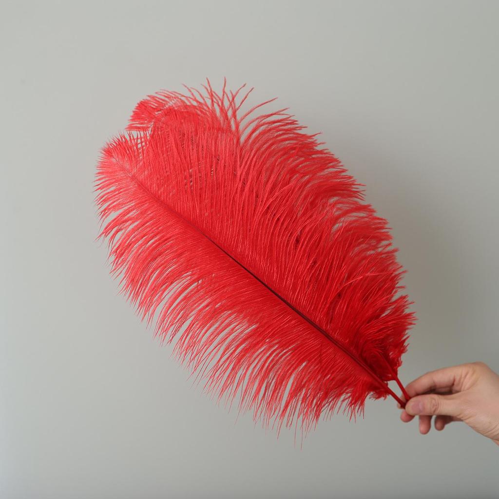 15-75cm Red Ostrich Feathers for Wedding Aisle Centerpieces, Table Decorations, Wall Art, Stage Props