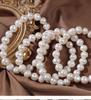 Natural Freshwater Pearl Elastic Bracelets - Candy Color Jewelry Gifts for Live Broadcast Festival Promotion