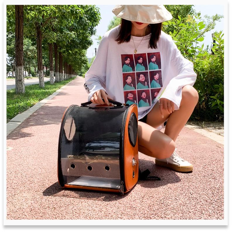 New Parrot Outgoing Backpack Medium Lightweight Transparent Pet Bag Portable Breathable Space Cat Bag