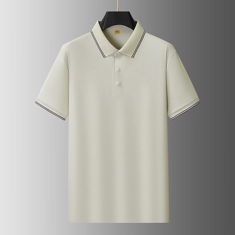 Men's Plus Size Business Casual Short Sleeve Polo Shirt