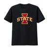 Iowa STATE Softstyle tričko Kolejní oblečení Školní duch Fanoušek Stylový design vintage Prané tričko Pro každodenní nošení grafické