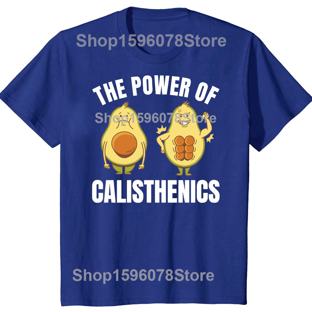 Funny Calisthenics Street Workout Fitness Gym Avocado Classic T Shirts Summer Streetwear Short Sleeve Birthday Gift T-shirt Men