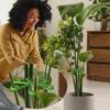 Blumen Pflanze Stiel Stützpfähle Kletter Zimmerpflanzen Ständer Rahmen Kunststoff Garten Kein Pfahl Spalier Zimmerpflanzenhalter Rack Bügel