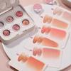 6 Color Cushion Nail Art Set Gradual and Paint Switch Gel Nail Polish Tools