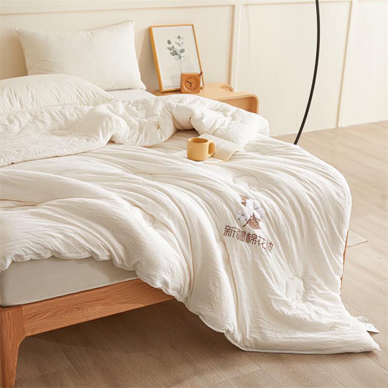 Arctic Velvet Xinjiang Cotton Winter Quilt