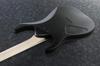 IBANEZ Electric Guitar "Black Flat" RG421EX-BKF