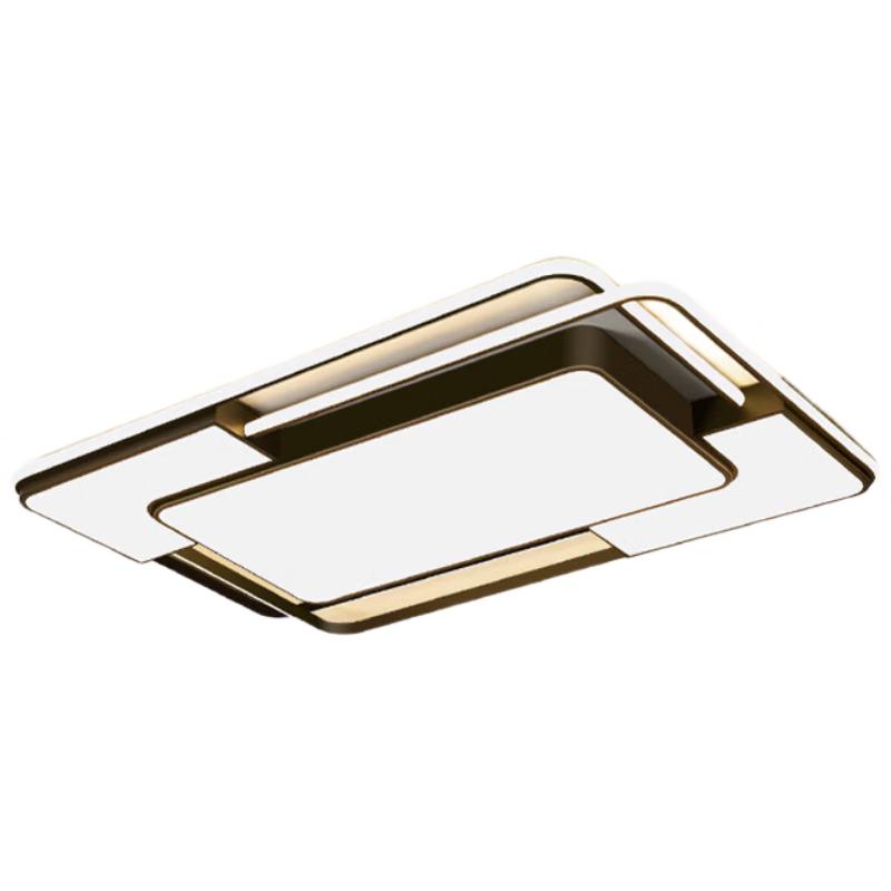 ARROW Nordic LED Iron Art Living Room Ceiling Light