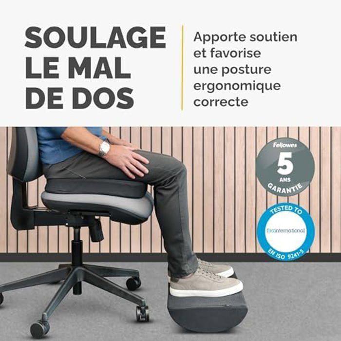 Coussin Repose-Pieds - FELLOWES - Breyta - Ergonomique - Bascule - Antidérapant