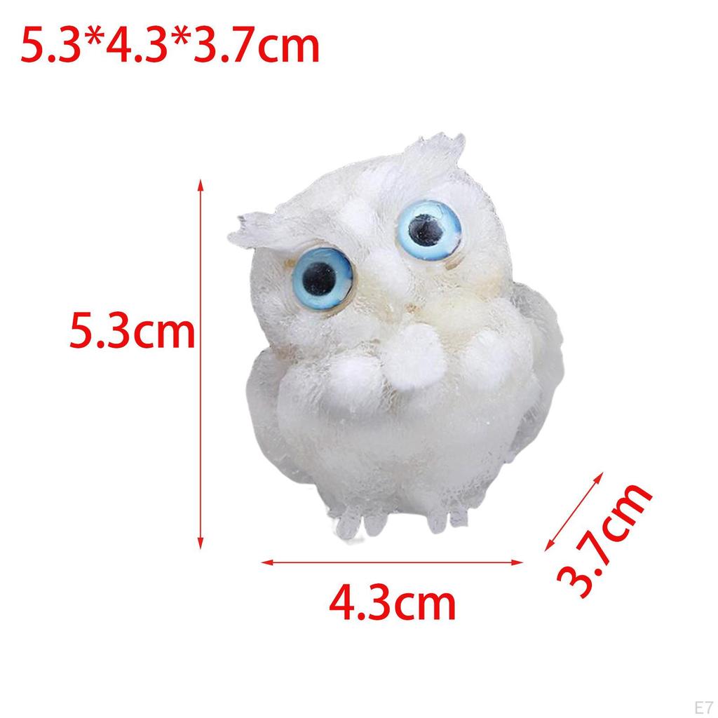 3D Owl Statue Collection Miniature Decor Crystal Decoration for Tabletop Office Bookshelf