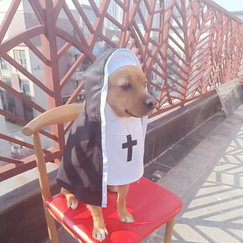 Nun Costume for Cat & Dog - Breathable Funny Pet Clothing, Small Medium Size Cosplay Photo Props Viral TikTok Instagram