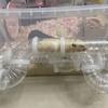 5.5cm Diam Hamster Tunnel Tubes Set DIY Hamster Movement Tunnel  Small Pet Supplies