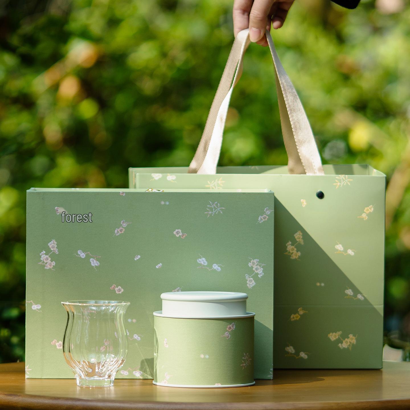 Creative Green Tea Packaging Box: Longjing, Biluochun, Maojian, Yin Zhen Souvenir Iron Can