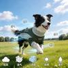 Kühlweste Hunde Leicht Atmungsaktiv Haustierhemd Kleine Mittlere Große Rassen Klimaanlagenfreundlich