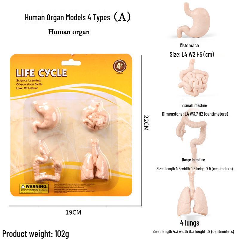 Cross-border Simulation Animal Suction Toy: Butterfly, Rooster, Ant, Frog, Sea Turtle, Mosquito Growth Cycle Models