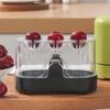 Cherry Corer Manual Press-Type Fruit Pitter Stainless Steel Cherry Pit Tool for Cherries Jujubes Red Dates Hawthorns Dishwasher Safe Cherry Pit
