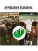 Abreuvoirs Abreuvoirs Alimentation Moutons Alimentation Bovins Alimentation Chevaux Équipement d'Abreuvoir Automatique Alimentation Automatique