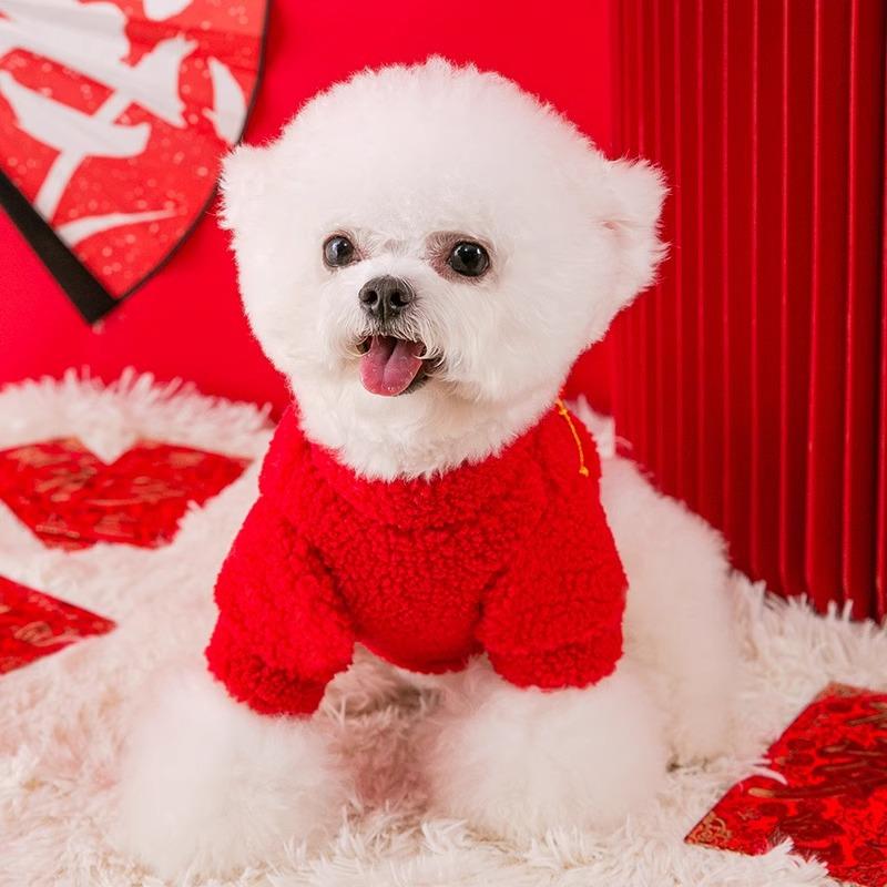 Gong Xi Fa Cai Dog Clothes Chinese New Year Greetings Warm Two-legged Teddy Bear Autumn and Winter Small Dog Pet Two-legged Clothes