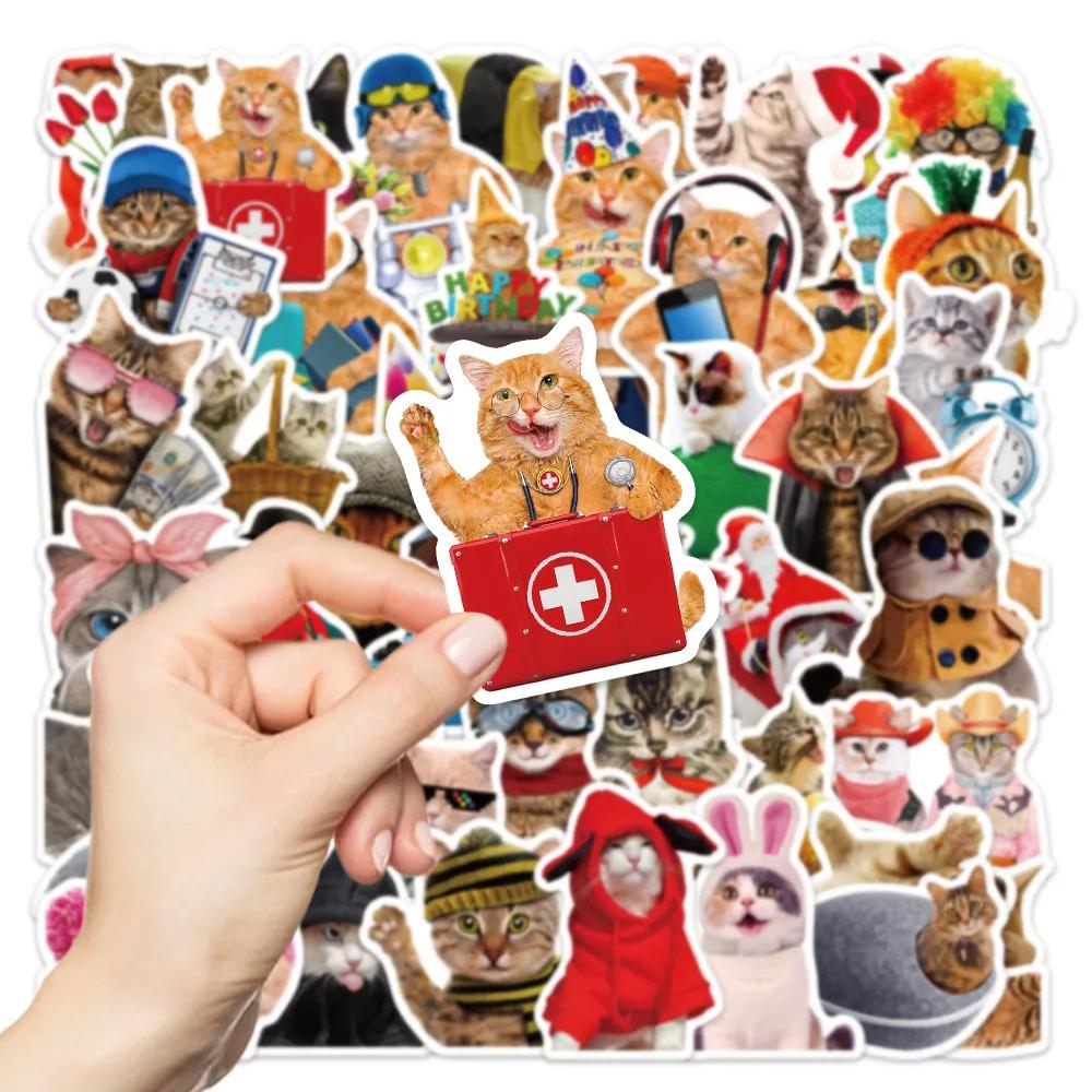 10/30/50pcs Funny Animal Cat Meme Graffiti Stickers Cute Kitten Decals Waterproof DIY Scrapbook Phone Laptop Bike Sticker Decor
