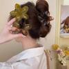 Fashion Flower Hair Clip For Women Hawaiian Acrylic Large Hair Claw Clip Crab Coffee Color Shark Clip Headdress Hair Accessories