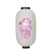 10 Inch Japanese Lantern Ladies Painting Lucky Cat Chandelier Folk Decor Winter Melon Shape Wind Lanterns Izakaya