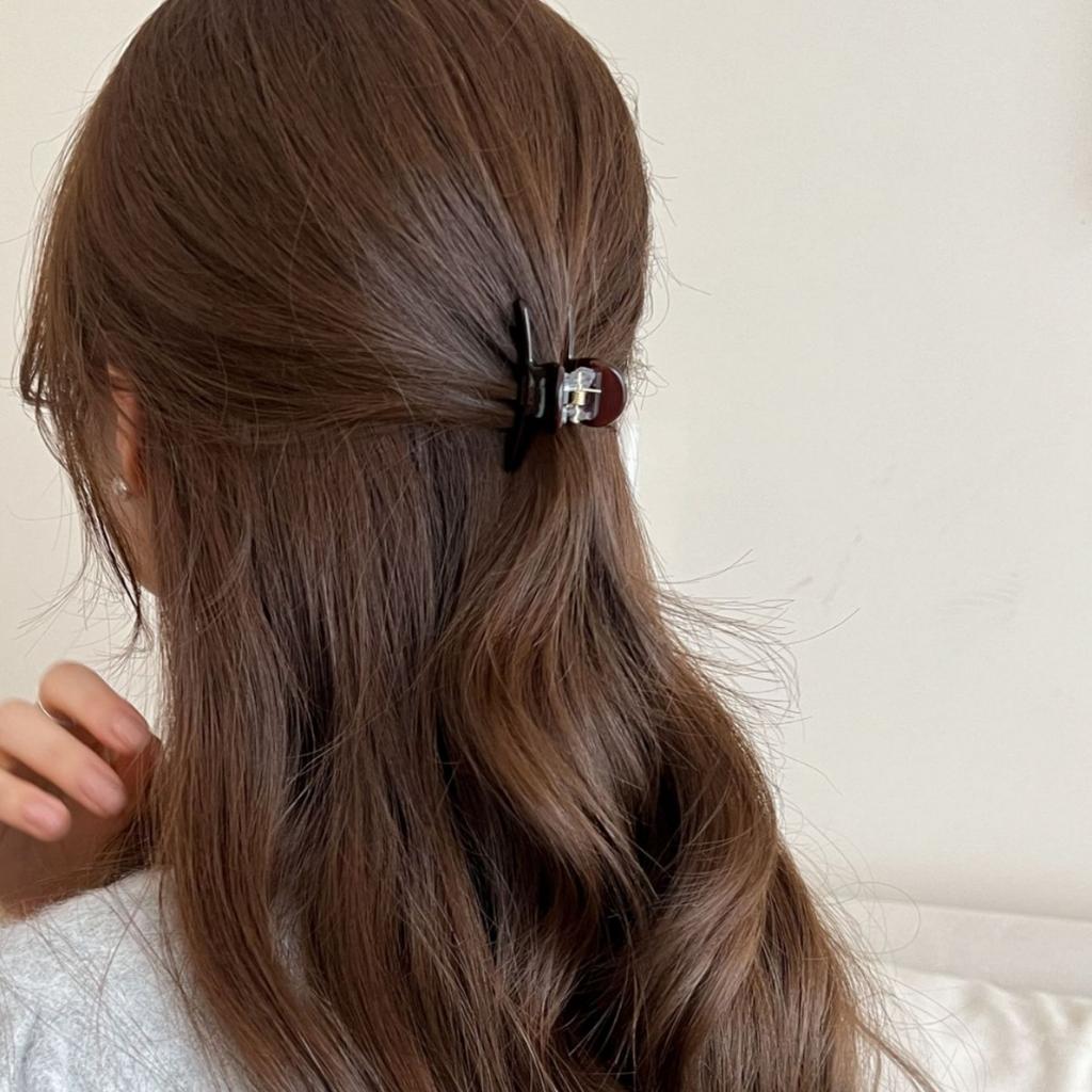 French Woman Exquisite Version Gold Label Small Acetate Hair Claws Barrettes Lady Trendy Side Clips Girls Hair Accessories