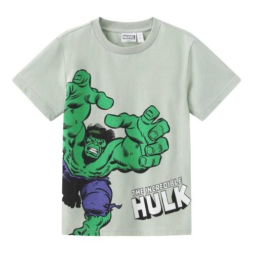 The Incredible Hulk Childrens/Kids Graphic Print Regular T-Shirt