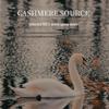 Yaya 100% White Goose Down Comforter