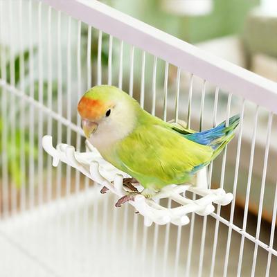 Pájaros – Juguetes para pájaros