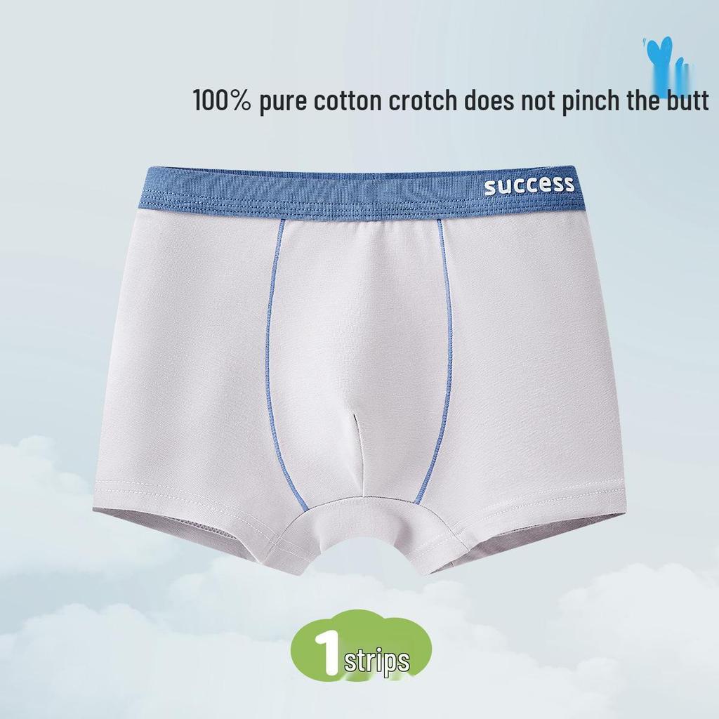 Boys' Pure Cotton Class A Underwear - Teen & Large Sizes, Full Cotton Crotch, Antibacterial Boxer Briefs